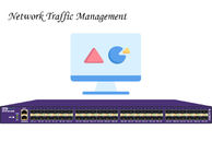 NetInsight™-Sicht-Netzwerkverkehr-Management optimieren Ihr stärkeres Netz