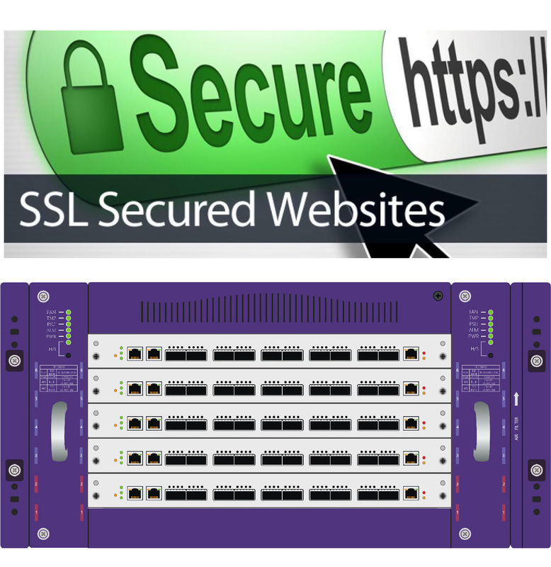 Nettosicht-Netz klopft Drohungs-Einblick von HTTP-SSL- und TLS-Protokoll Monitor-Internetsicherheit
